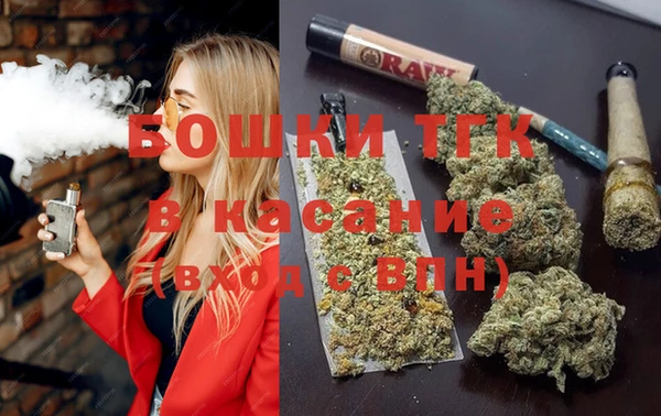 гидра Богородск