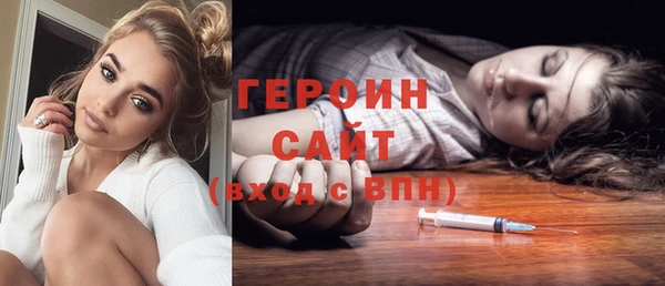 гидра Богородск