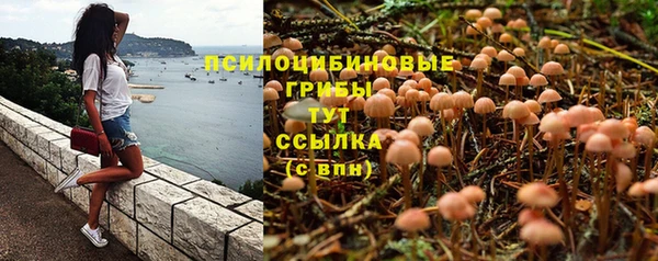гидра Богородск