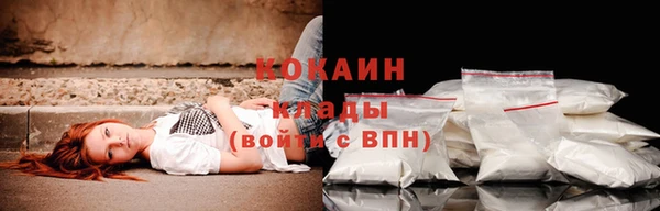 ПСИЛОЦИБИНОВЫЕ ГРИБЫ Богородицк