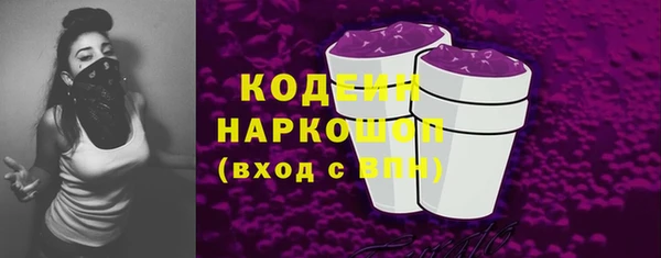 гидра Богородск
