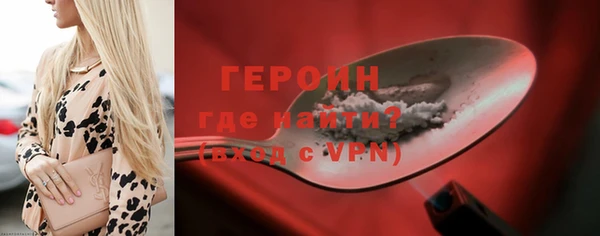 гидра Богородск
