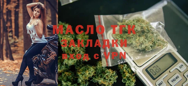 гидра Богородск