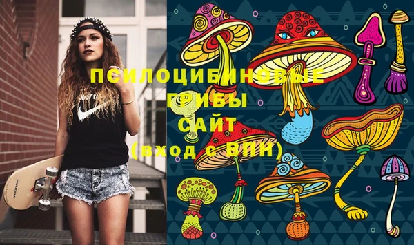 ПСИЛОЦИБИНОВЫЕ ГРИБЫ Богородицк