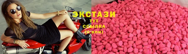 гидра Богородск