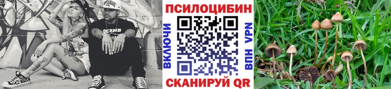 как найти закладки  Астрахань  Псилоцибиновые грибы мухоморы 